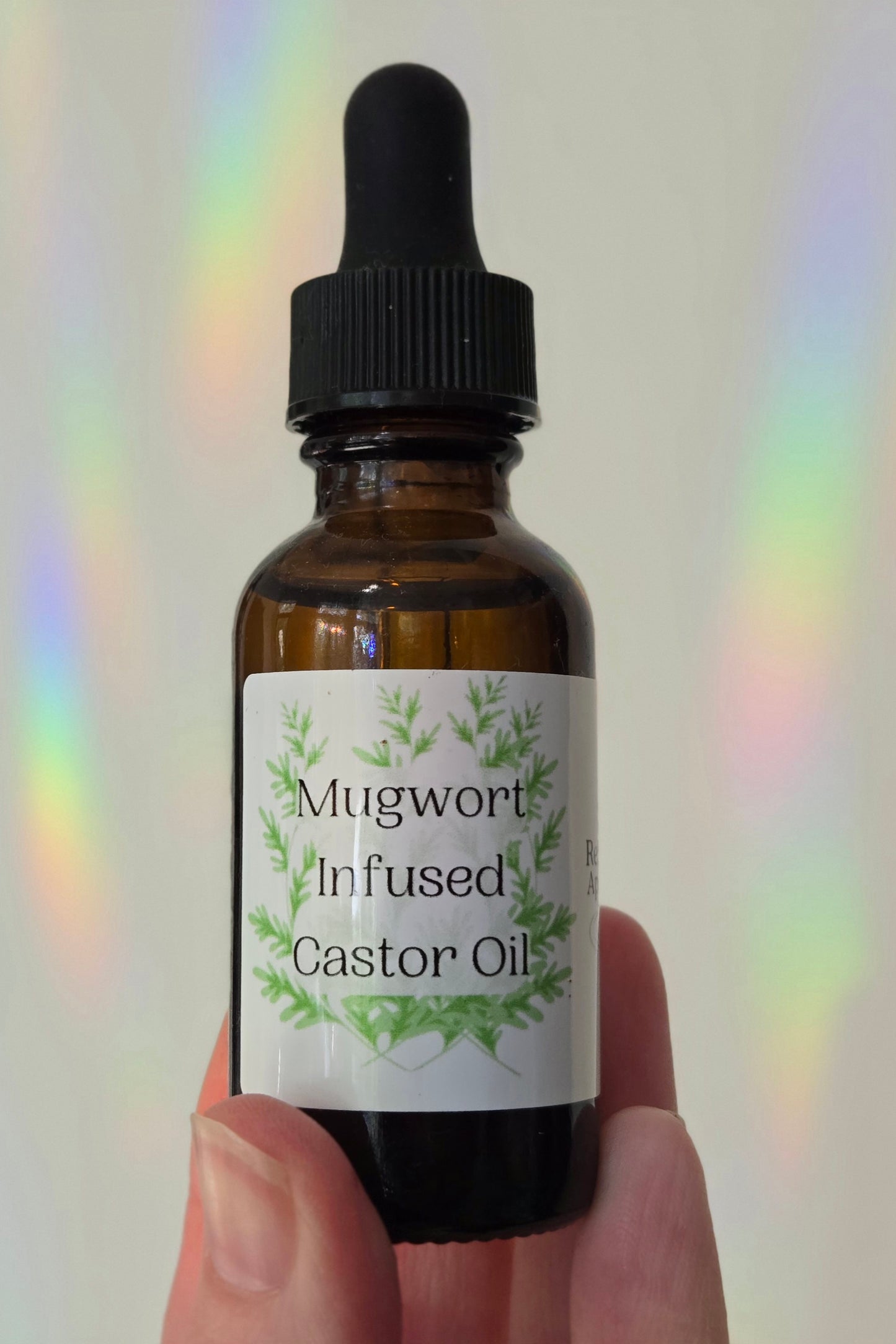 Mugwort Infused Castor Oil