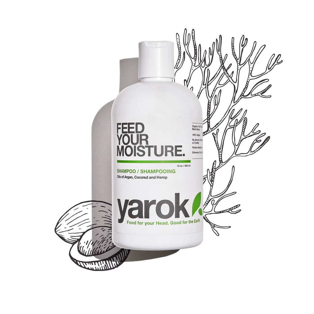 FEED YOUR MOISTURE: SHAMPOO 12oz