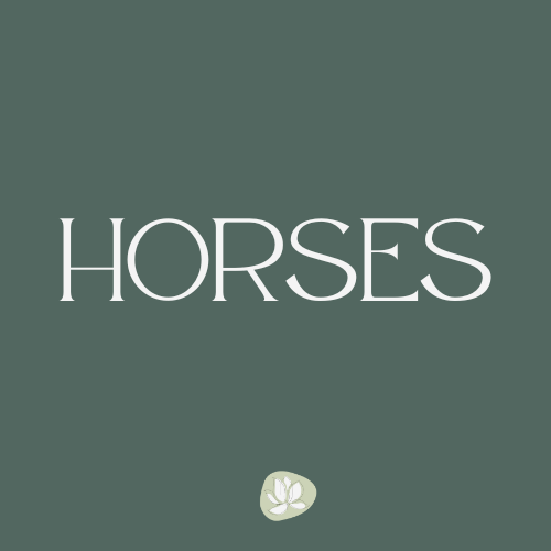 For Horses