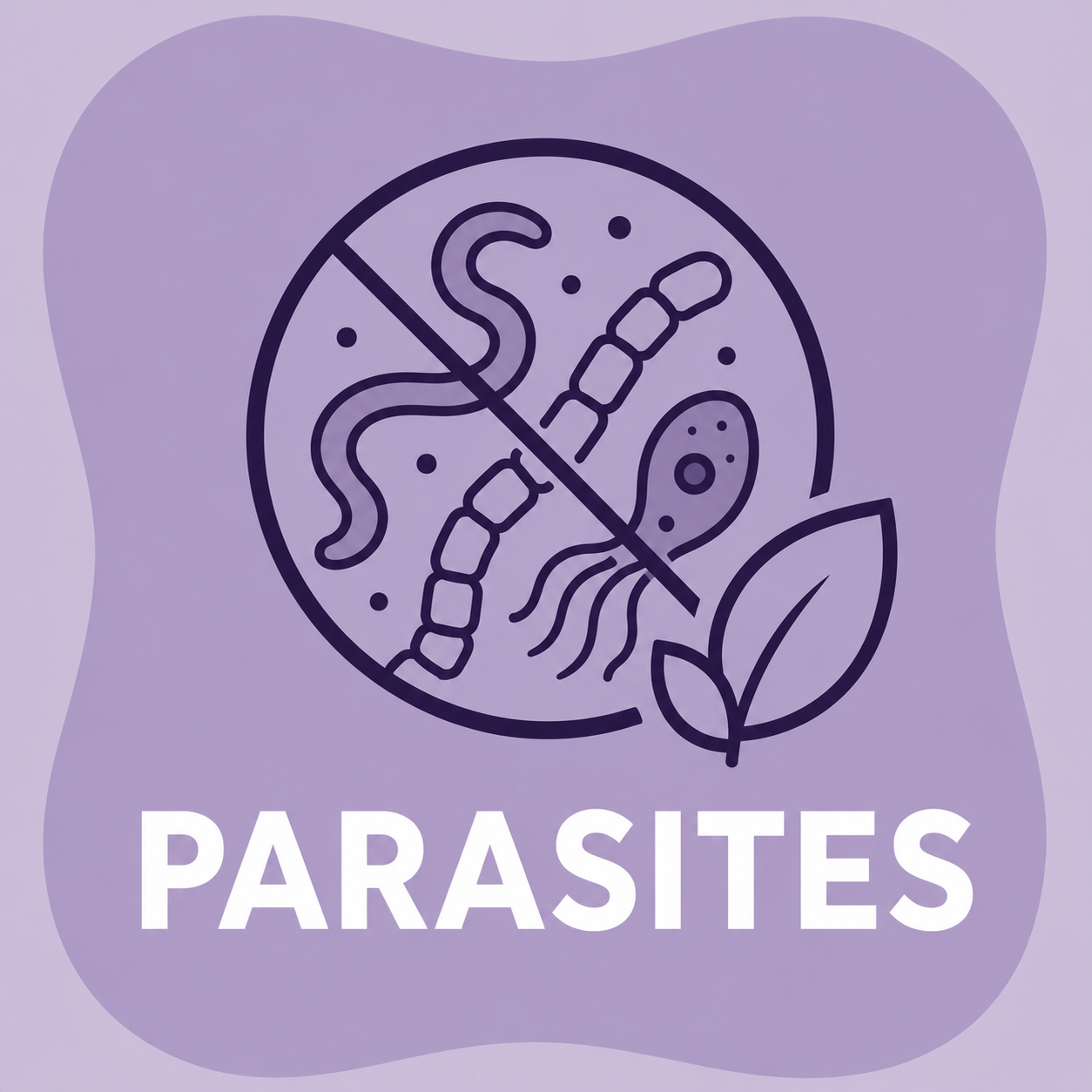 Parasite