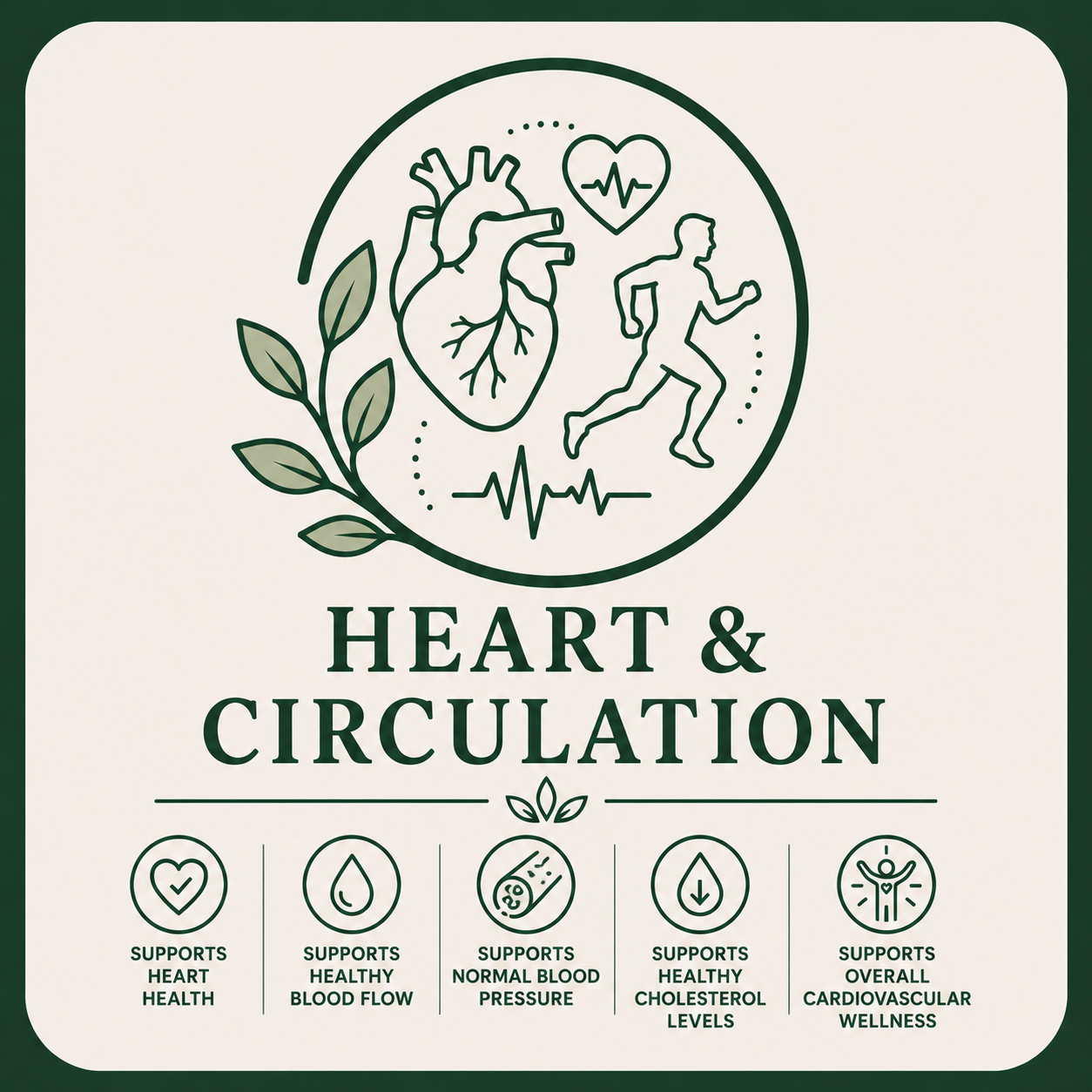 Heart & Circulation