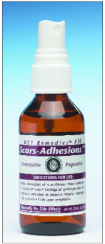 #10 Scars-Adhesions Homeopathic Preparation