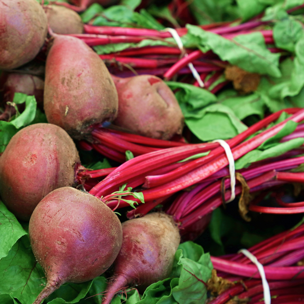 Fermented Beets, Premier