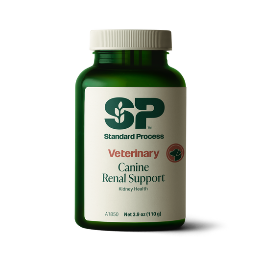 Canine Renal Support, 110 g