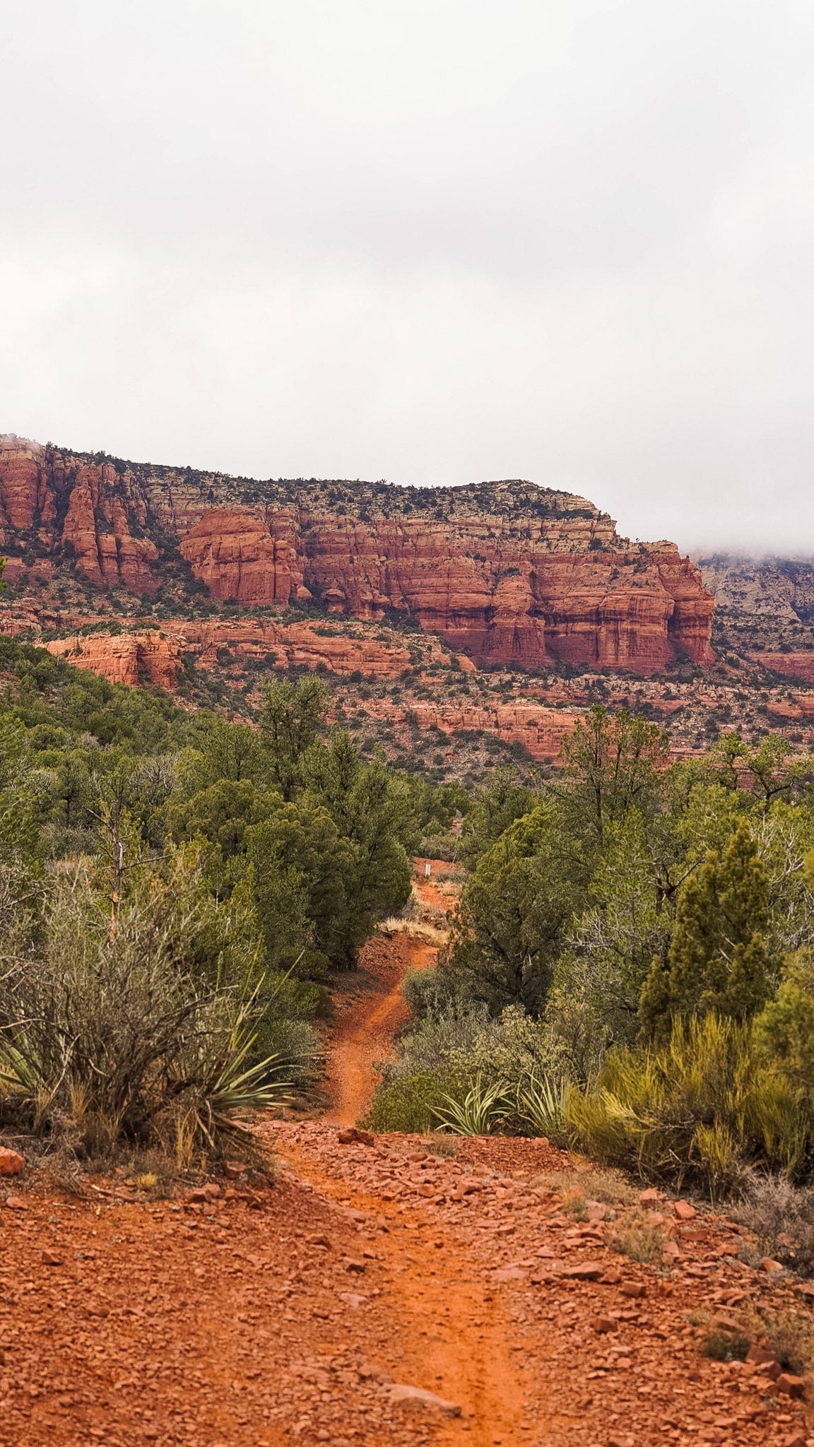 Rocket Sloth 157 Blend