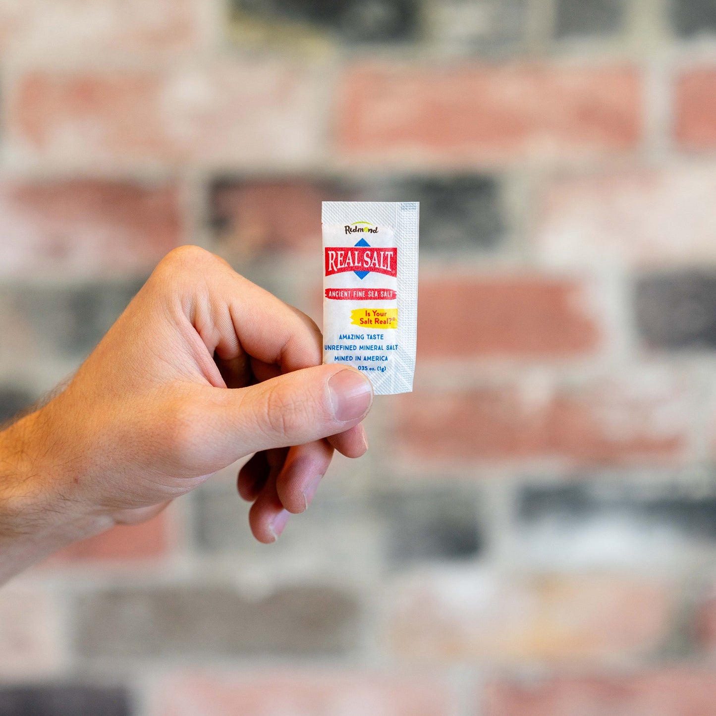 Real Salt Fine Single Serve Packet / 500 ct